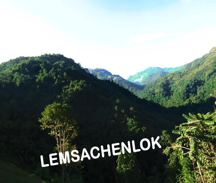 Forest landscape connected to Lemsachenlok's biodiversity corridor vision